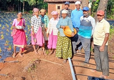 AboutAgri2
